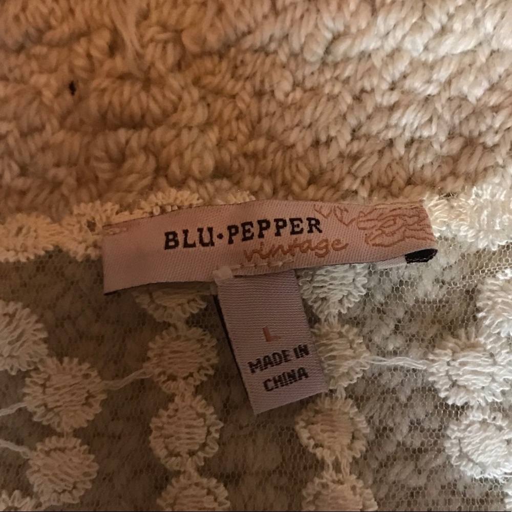 Blu Pepper Cream Embroidered Lace Dress Large - Picture 5 of 8